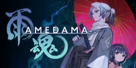 Portada de AMEDAMA