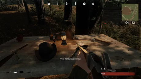 Captura de Best in the West