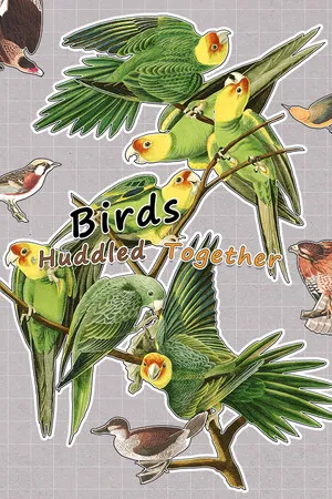 Portada de Birds Huddled Together