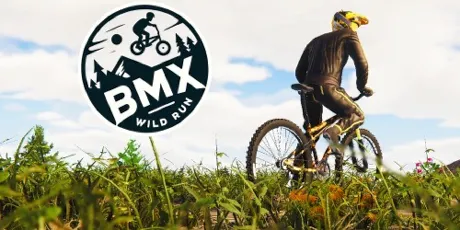 Portada de BMX Wild Run