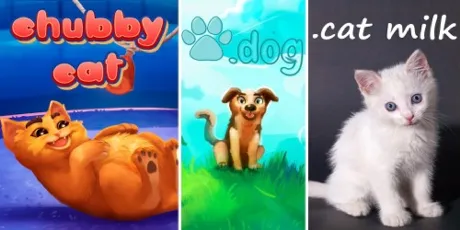 Portada de Bundle: 2 cats + 1 dog
