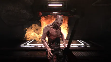 Captura de Cargo 3