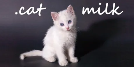 Portada de .cat Milk