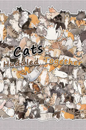 Portada de Cats Huddled Together 挤在一起的猫猫们