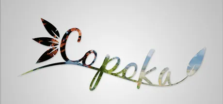 Portada de Copoka