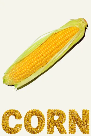 Portada de CORN