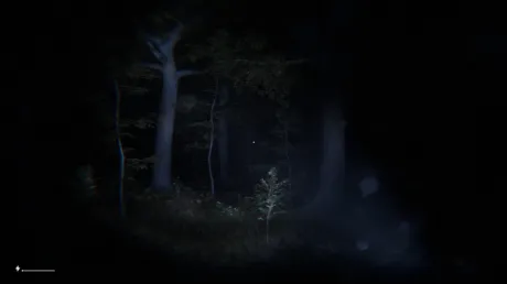 Captura de Cryptid