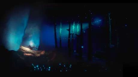 Captura de Debris