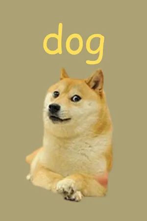Portada de Dog