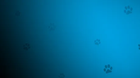 Portada de Dogs And Paws