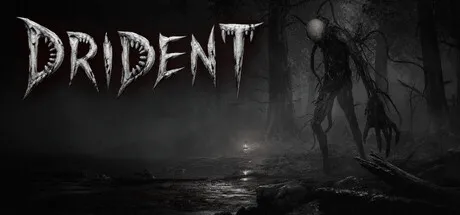 Portada de Drident