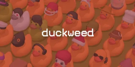 Portada de Duckweed