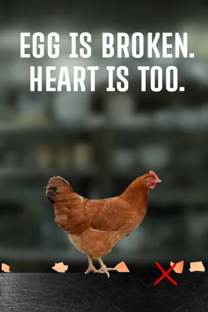 Portada de egg is broken. heart is too.