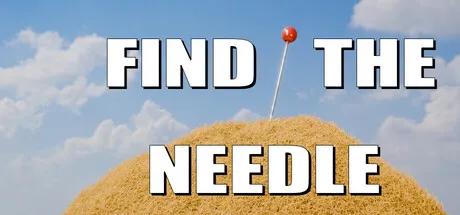 Portada de Find The Needle