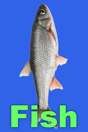 Portada de Fish