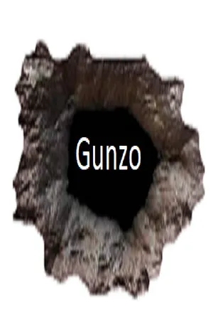 Portada de GUNZO!
