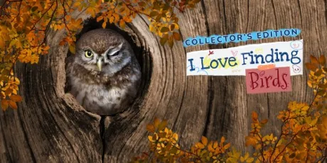 Portada de I Love Finding Birds