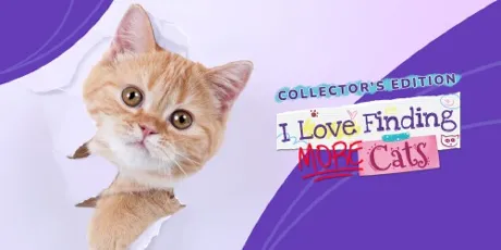 Portada de I Love Finding MORE Cats!