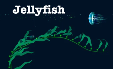 Captura de Jellyfish