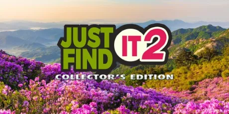 Portada de Just Find It 2