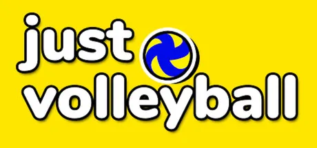Portada de just volleyball