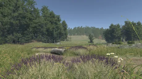 Captura de Lavender