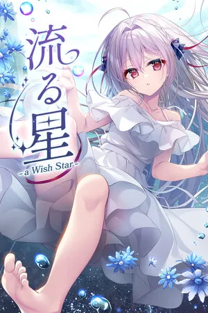 Portada de 流る星 -a wish star-
