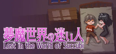 Portada de Lost in the World of Succubi