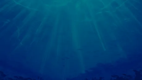 Portada de Marine Survivors