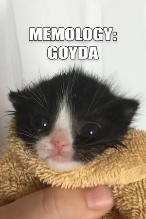 Portada de MEMOLOGY: GOYDA