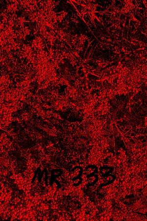 Portada de MR 333
