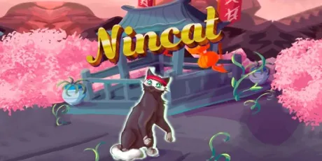 Portada de NinCat