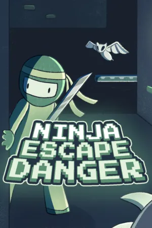 Portada de Ninja Escape Danger (Windows)
