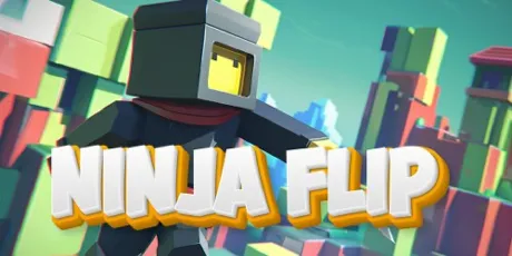 Portada de Ninja Flip