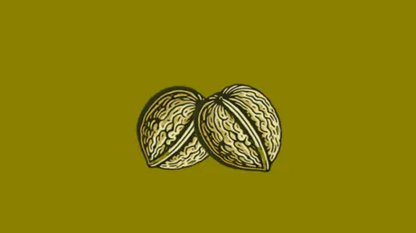Captura de Nuts