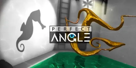 Portada de Perfect Angle