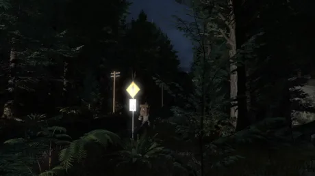 Captura de Pineview Drive - Homeless