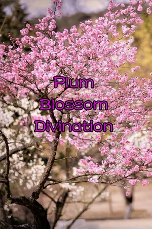 Portada de Plum Blossom Divination