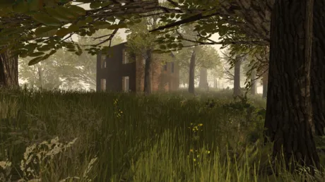 Captura de PostCollapse