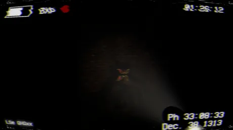 Captura de Project XMAS