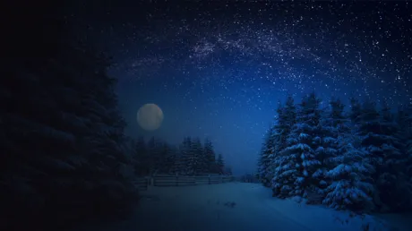Portada de Puzzle Vacations: Christmas
