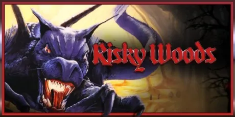Portada de Risky Woods (QUByte Classics)