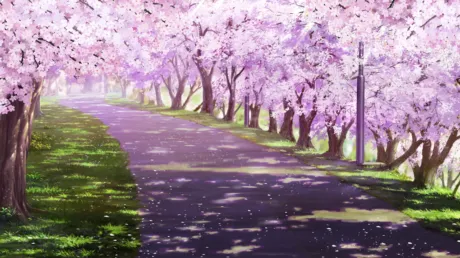 Portada de Root Letter