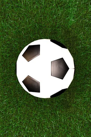 Portada de Score a goal 2 (Physical football)