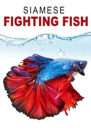 Portada de Siamese Fighting Fish