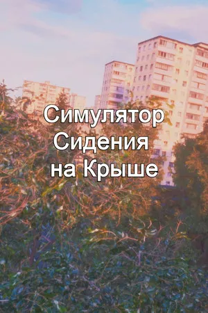 Portada de Симулятор Сидения на Крыше