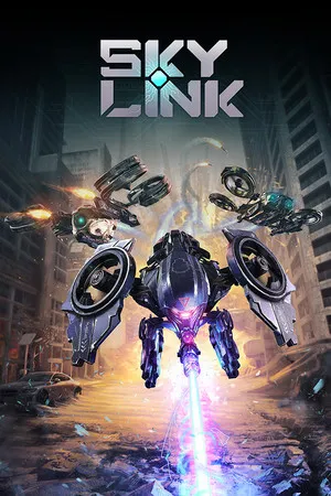 Portada de Sky Link