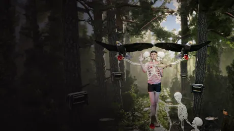 Portada de The Forest Cathedral