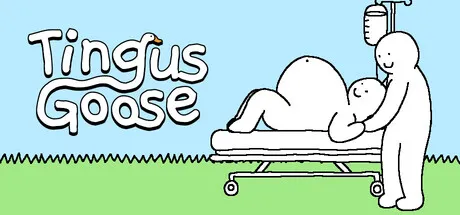 Portada de Tingus Goose