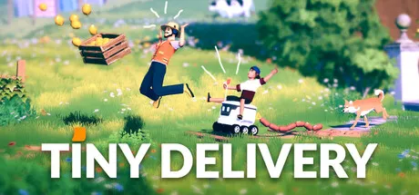 Portada de Tiny Delivery